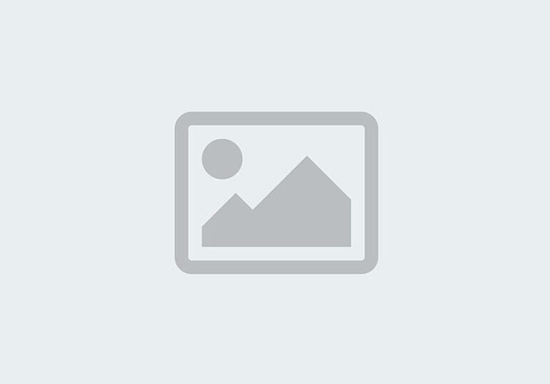 Default image thumbnail icon